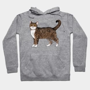 Cat - American Wirehair - White and Tabby Hoodie